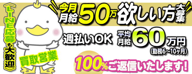株式会社はぴねす