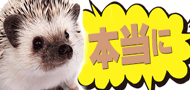 株式会社アスティ